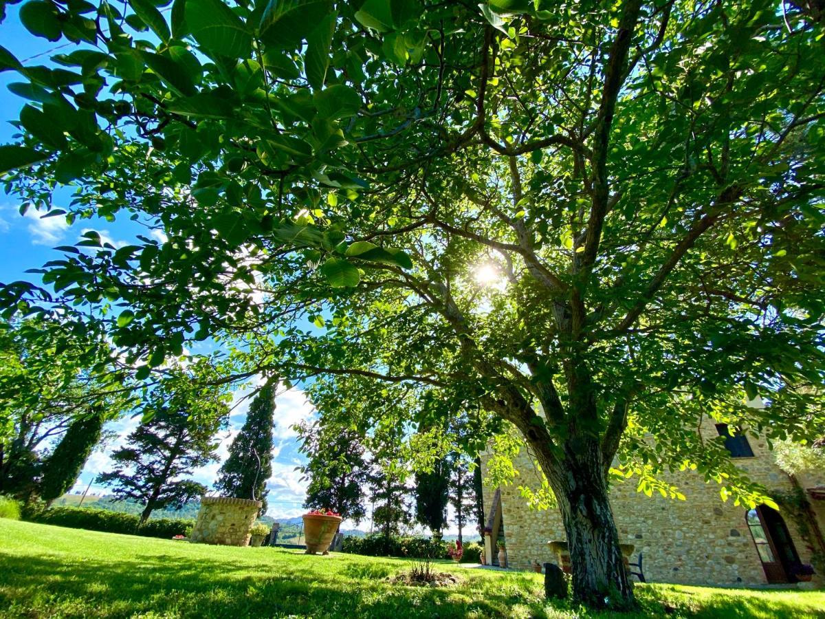 Agriturismo L'Antica Quercia Pomarance Exteriér fotografie